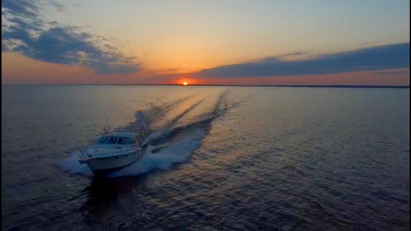 LAKE MICHIGAN CHARTERS — Lake Michigan Fishing Charters | Seahawk