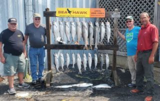 Salmon fishing in Michigan