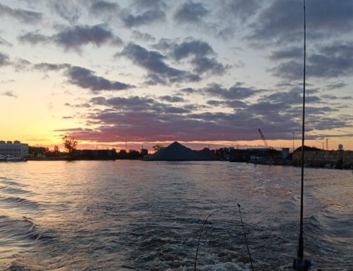 September Salmon Run: Targeting Chinook and Coho on Lake Michigan