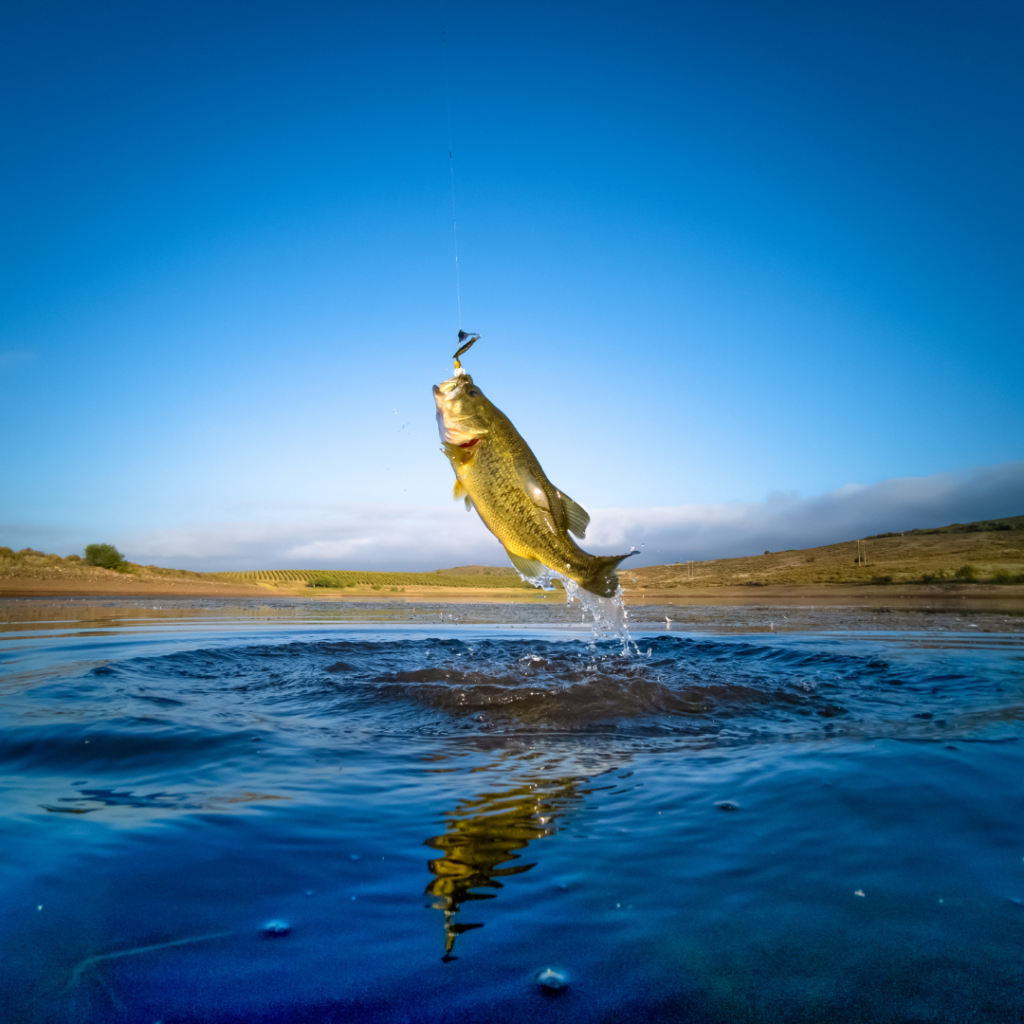 Fishing in Michigan in June: Your Guide to the Best Species and Tips