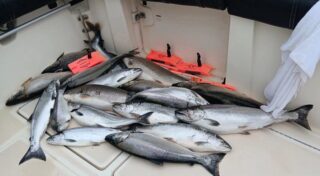 st joe fishing charters